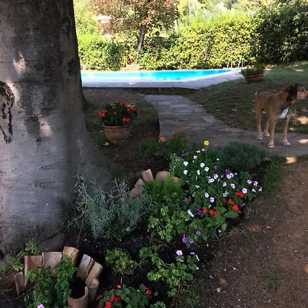 Rezort Cesarina, , Salo' 3*